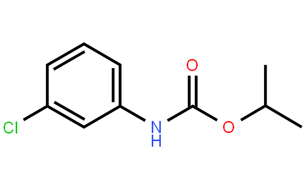 �ȱ�����