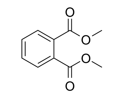 �ڱ������������