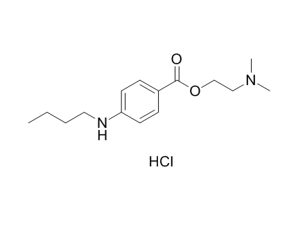 ���ᶡ����