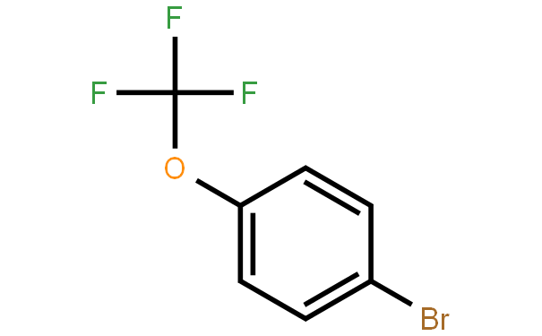 �������������屽