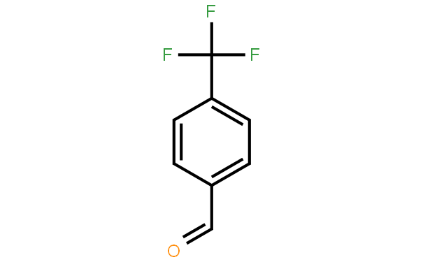 �������׻�����ȩ