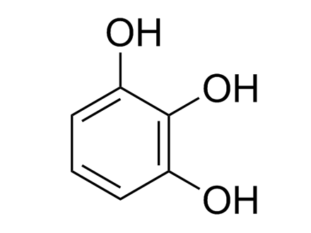 ����ûʳ����